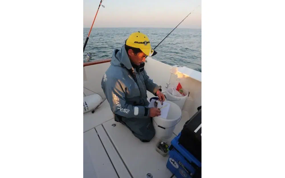 slider 8 Ocqueteau Ostrea 700