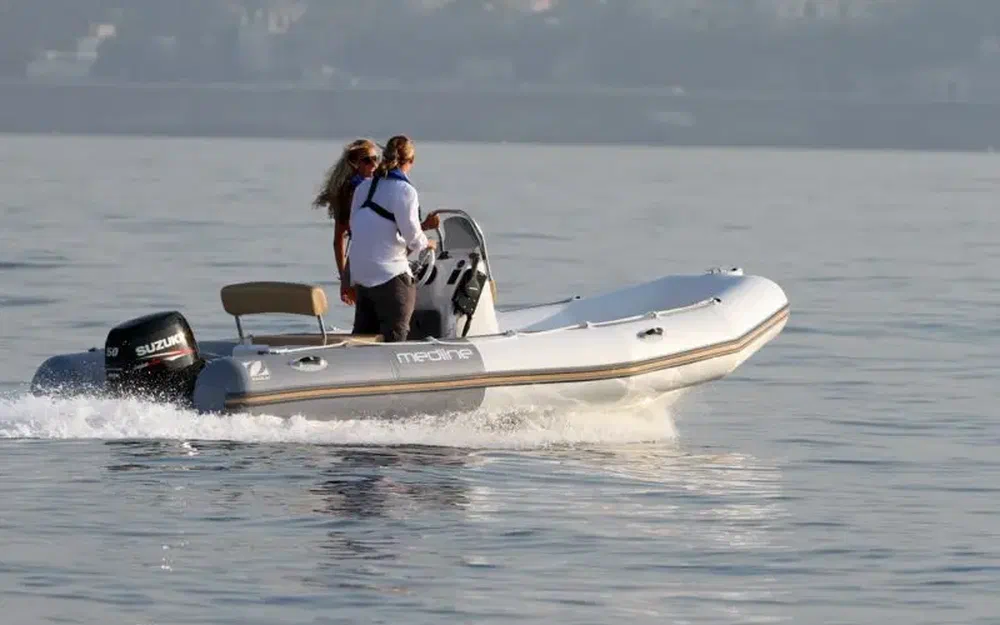 slider 1 Zodiac Medline 500