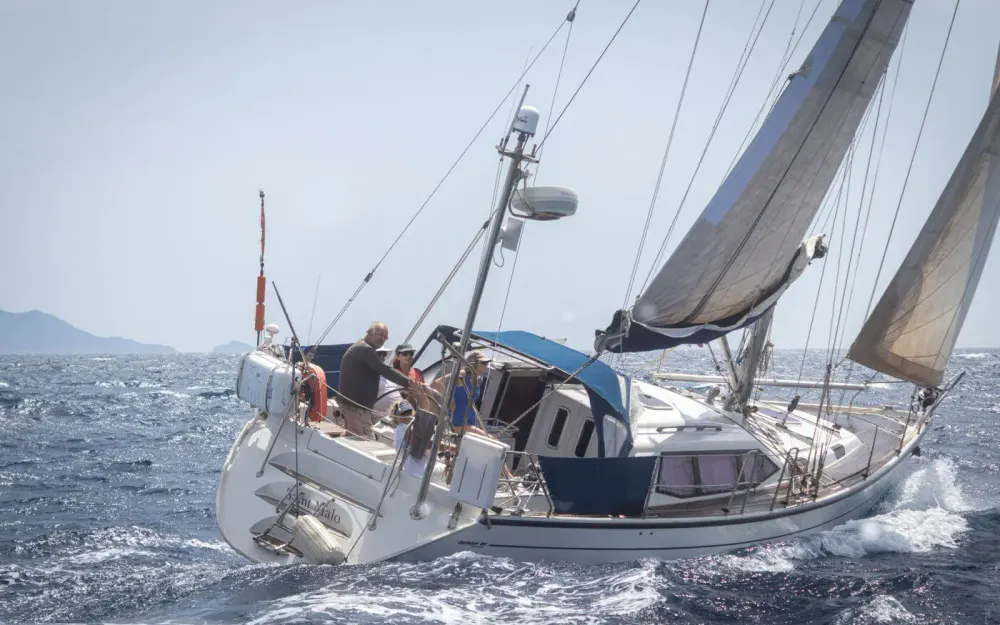 DehlerDehler 41