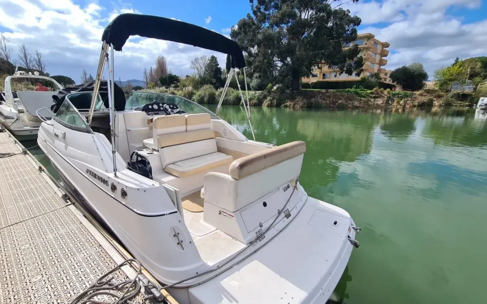 Four WinnsVista 248