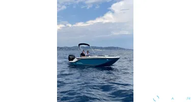 Bayliner Element M15