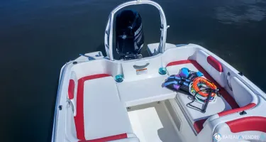 Bayliner Element M17