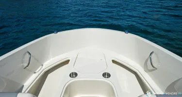 Bayliner Element E21