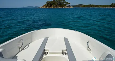 Bayliner Element E21