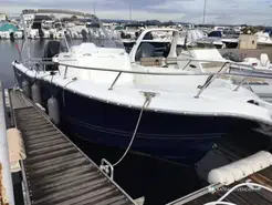 White Shark  246