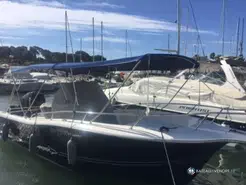 White Shark  246