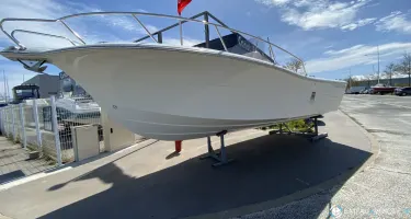 White Shark  230 CC Origin