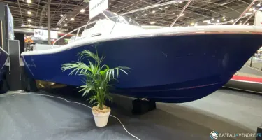 White Shark  270 SC Origin
