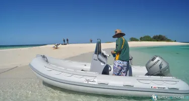 3D Tender X Pro 420