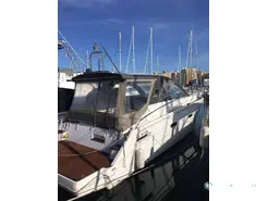 Sealine  C35
