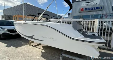 Bayliner Element M19