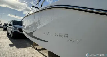 Bayliner Element M19
