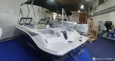 Bayliner Element M17