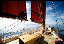 Kostas Gouzelis Brazzera