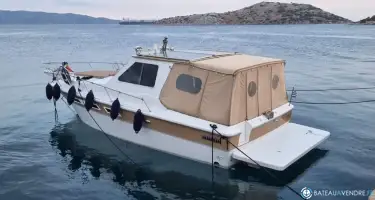 Sea Ray  310 Vanguard