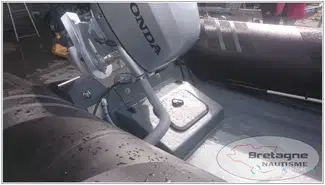 Tarpon AD 55