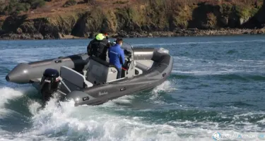 Adventure Vesta 610 HD Fishing Pro