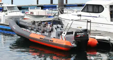 Narwhal Fast 750