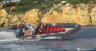 Narwhal Fast 900