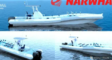 Narwhal Orca 12