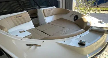 Sea Ray  210 SPX