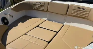 Sea Ray  210 SPX OB
