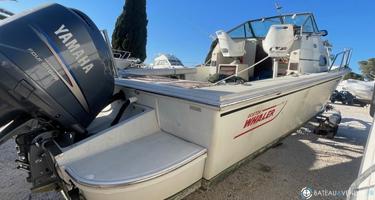 Boston Whaler  25 WA