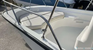 Boston Whaler  170 Montauk