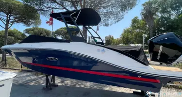 Sea Ray  230