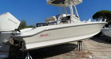 Boston Whaler  250 Dauntless