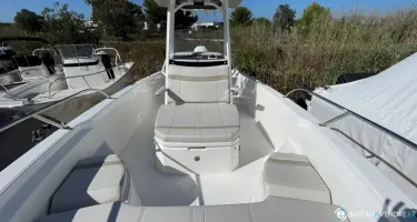Boston Whaler  250 Dauntless