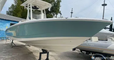Boston Whaler  250 Dauntless
