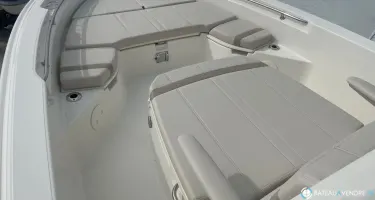 Boston Whaler  250 Dauntless