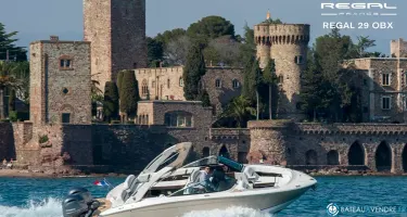 Regal  29 OBX