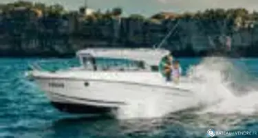 Parker  800 Cruiser