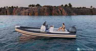 Joker Boat Coaster 650 Plus