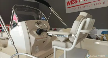 Boston Whaler  220 Dauntless