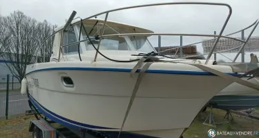 Ocqueteau  695 Timonier