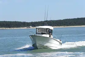 Ocqueteau Ostrea 800