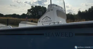 Seaweed  535 Console
