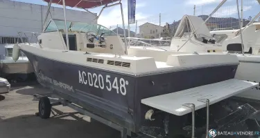 White Shark  237