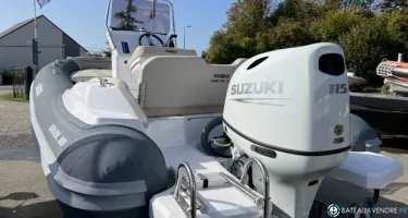 Salpa Soleil 18