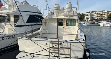 Bertram  33 Flybridge