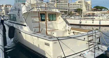 Bertram  33 Flybridge