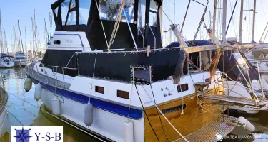 Island Gypsy  40