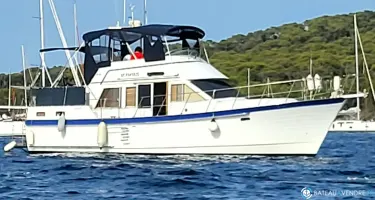 Island Gypsy  40