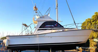 Chantier Gatto Padi 31