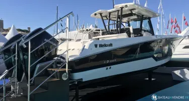 Wellcraft Fisherman 352