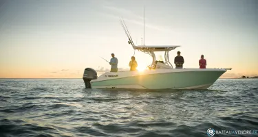 Wellcraft Fisherman 262