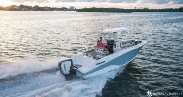 Wellcraft Fisherman 242